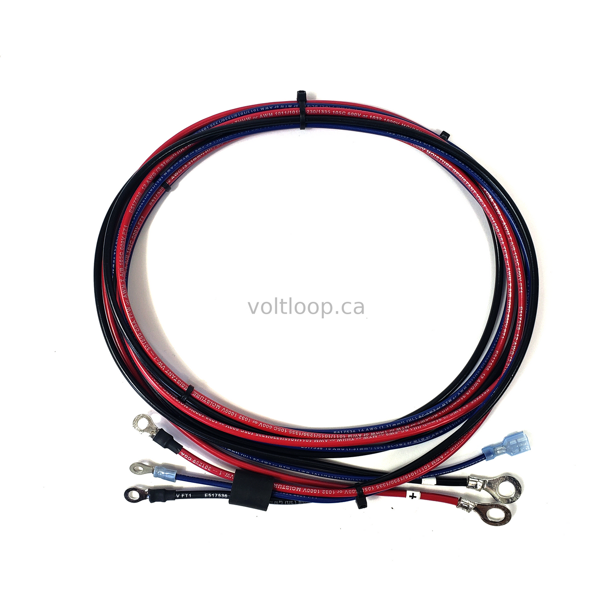 Lester Summit Series 2 650W Charger & Ring Terminals Voltloop Canada