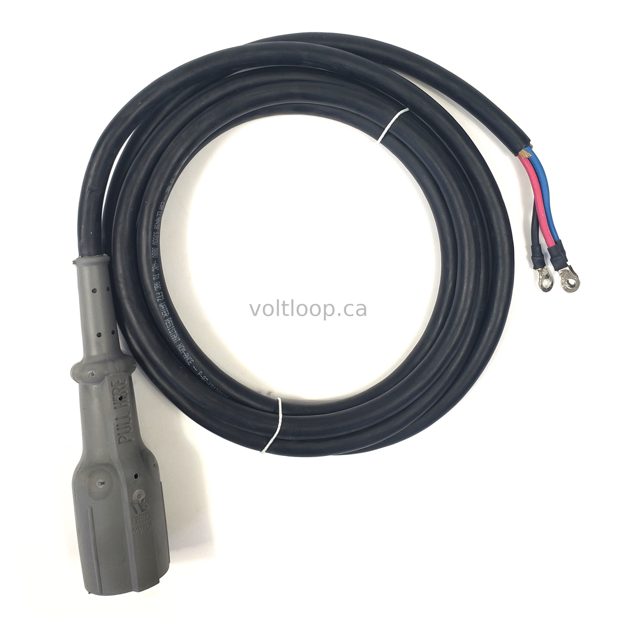 VOLT AMPERE / GPC-TQ Lester Summit Series 2 650W Charger & 48V Yamaha Plug – Voltloop