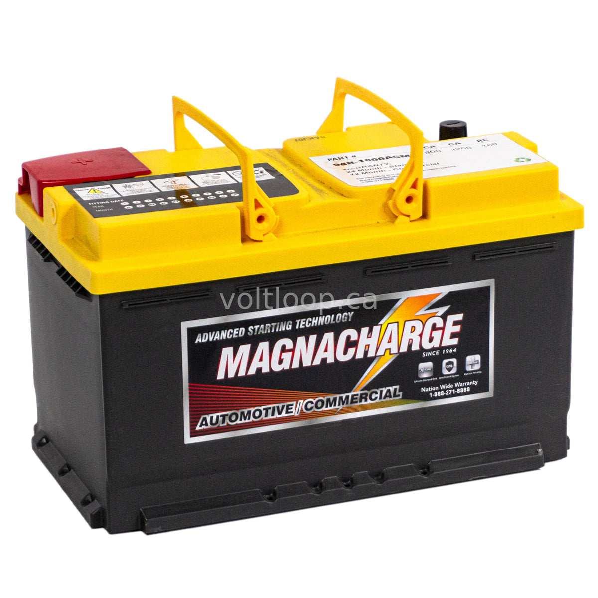 2023 Ford F-150 - V8 5.0 Liter Batteries – Tagged