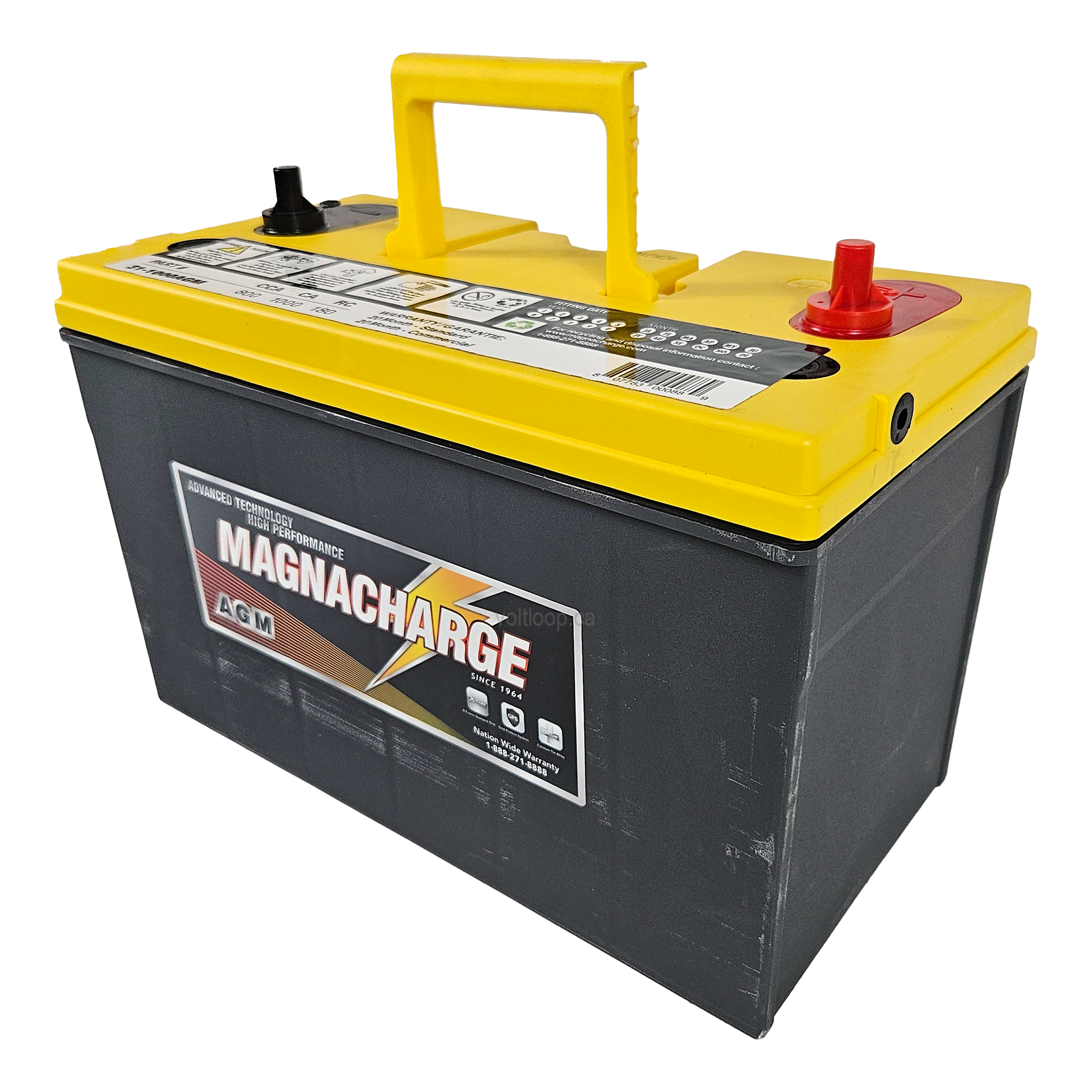 Magnacharge 31-1000AGM Battery