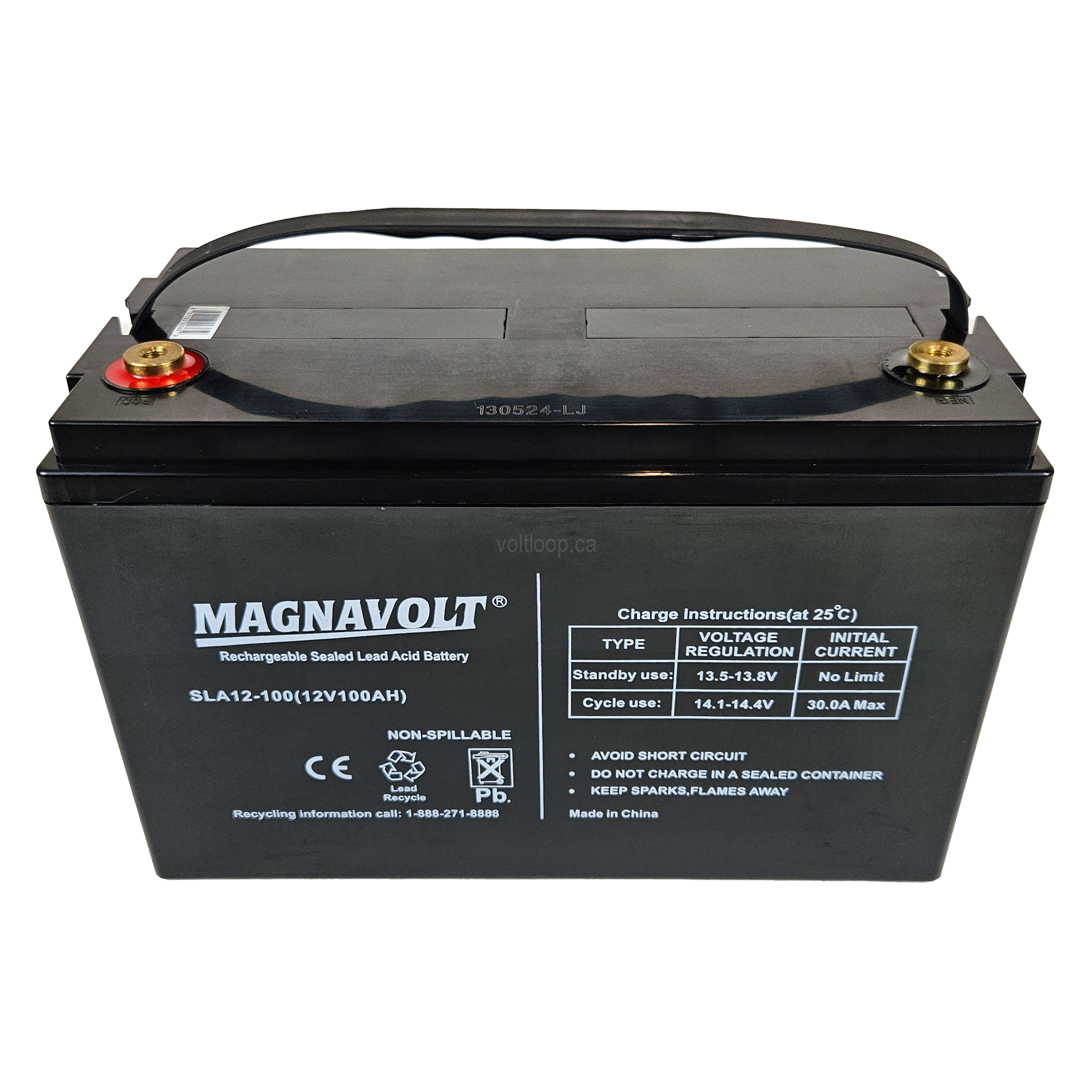 Magnavolt SLA12-100 Battery