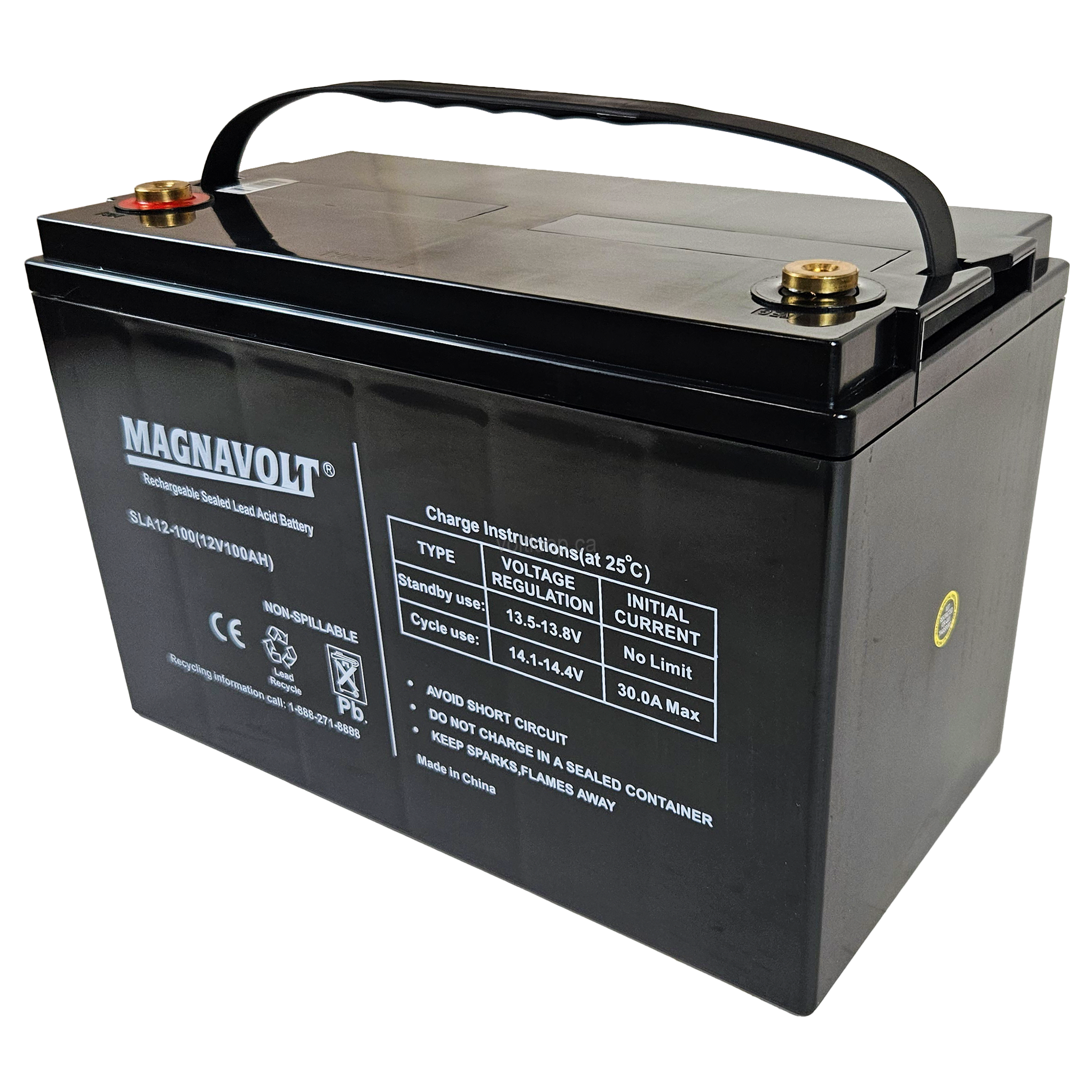 Magnavolt SLA12-100 Battery