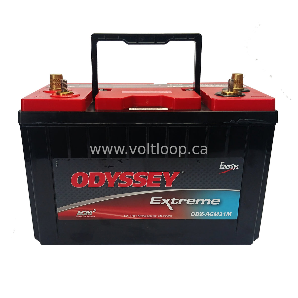 Odyssey Odx Agm31m 12v Agm Marine Battery Group 31 Voltloop Canada 5946