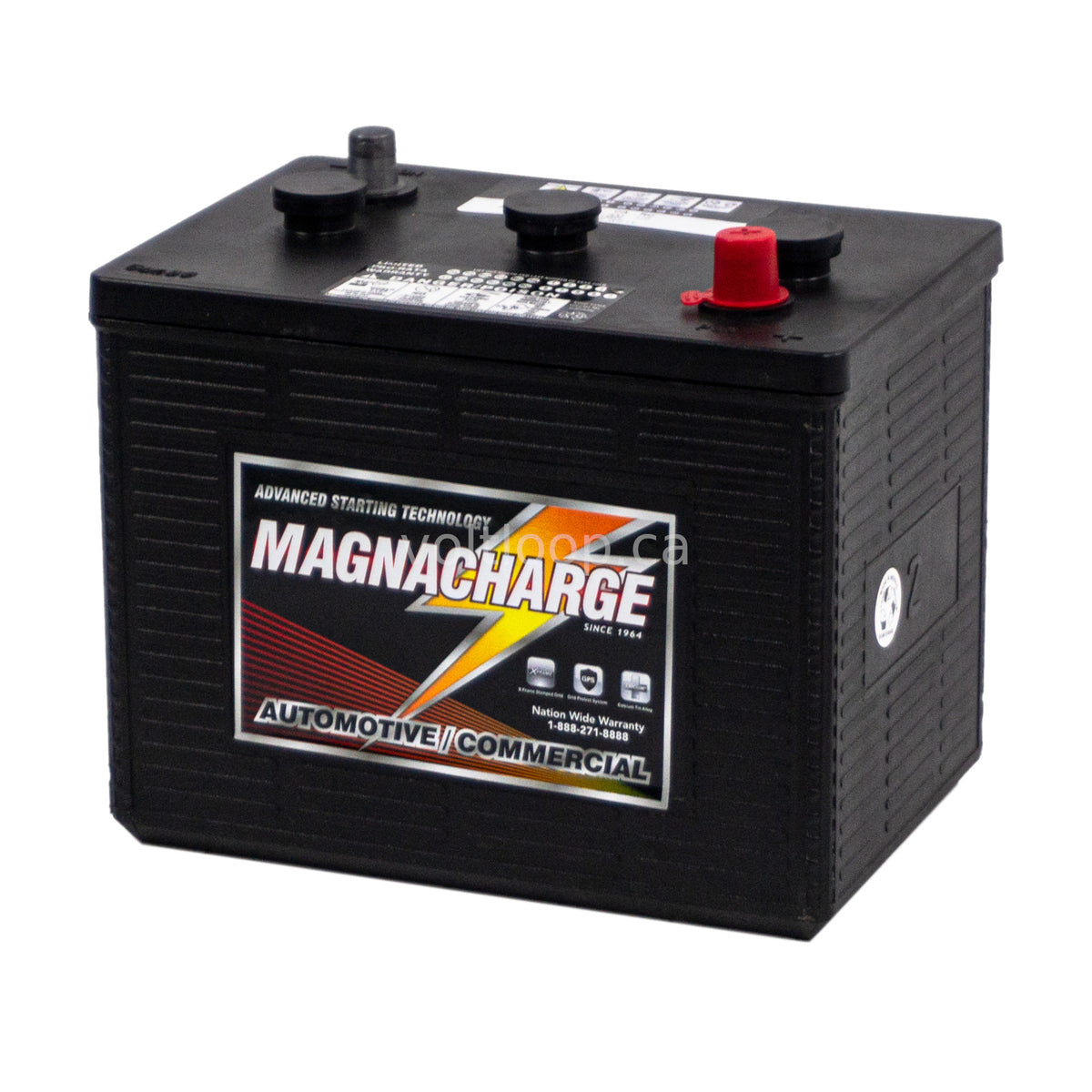 Magnacharge 2-825 6V Truck & Commercial Group 2 Battery – Voltloop Canada