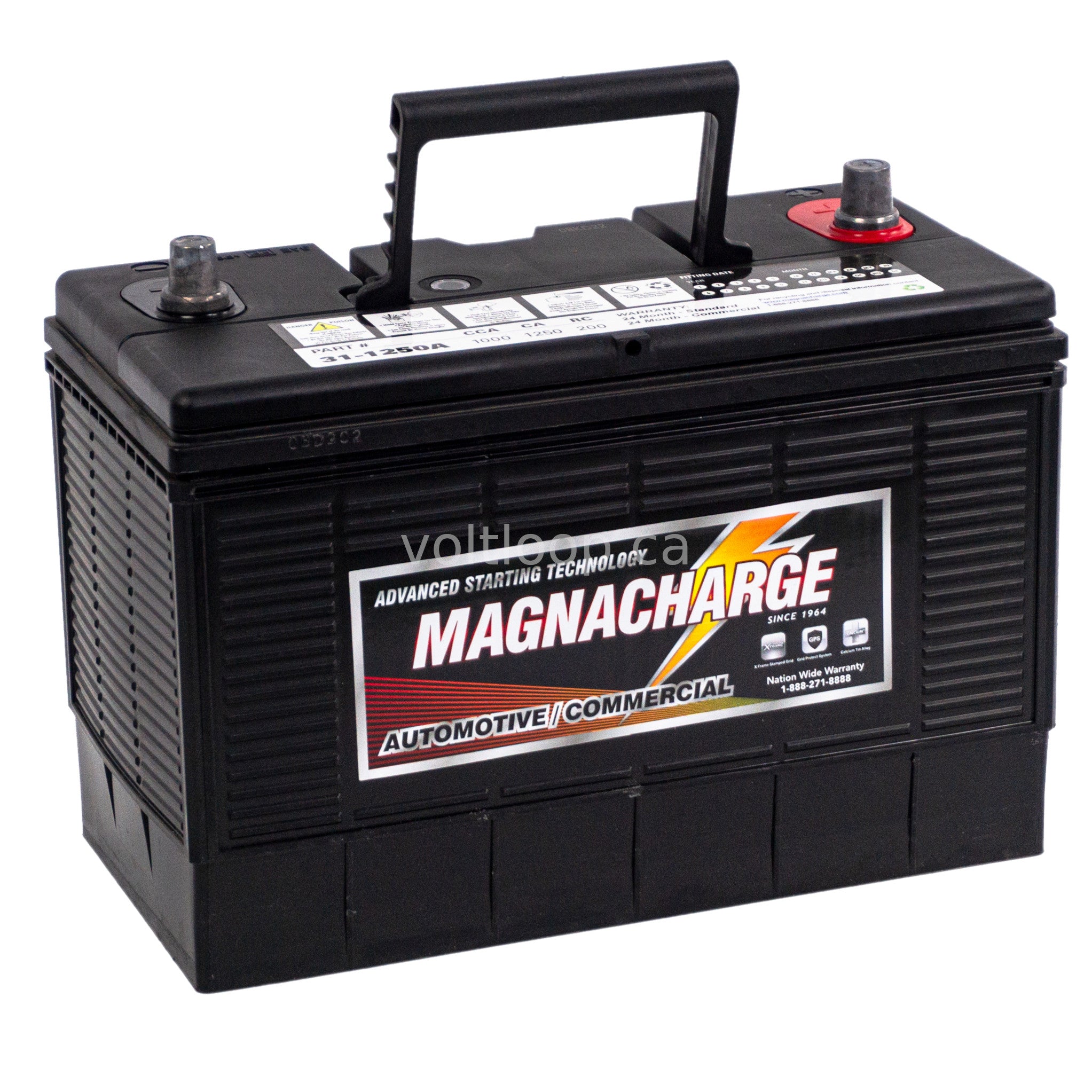 Magnacharge Magnacharge 31-1250A 12V Truck & Commercial Battery – Voltloop Battery ...