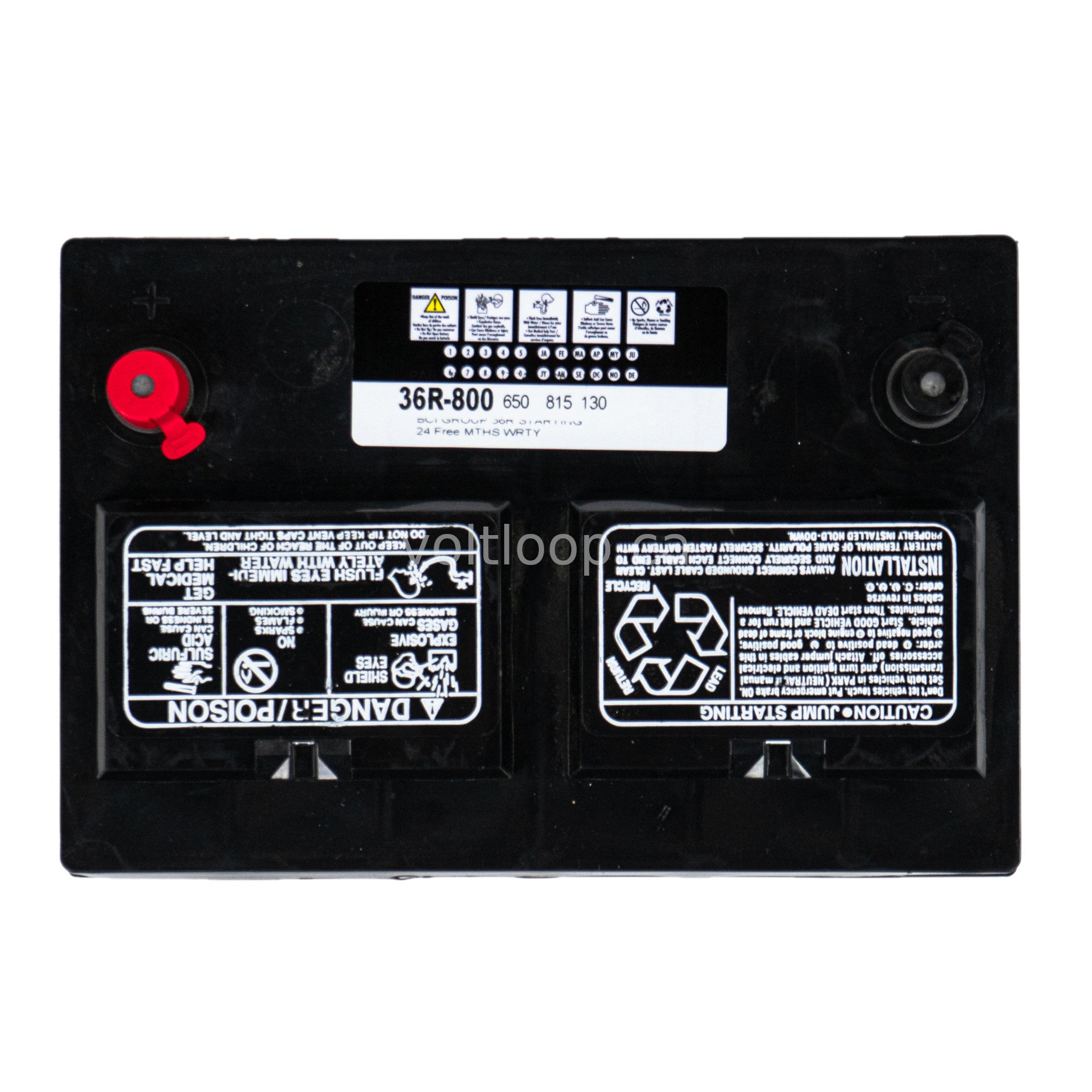 Magnacharge 36R-800 12V Car Battery | Group 36R – Voltloop Canada