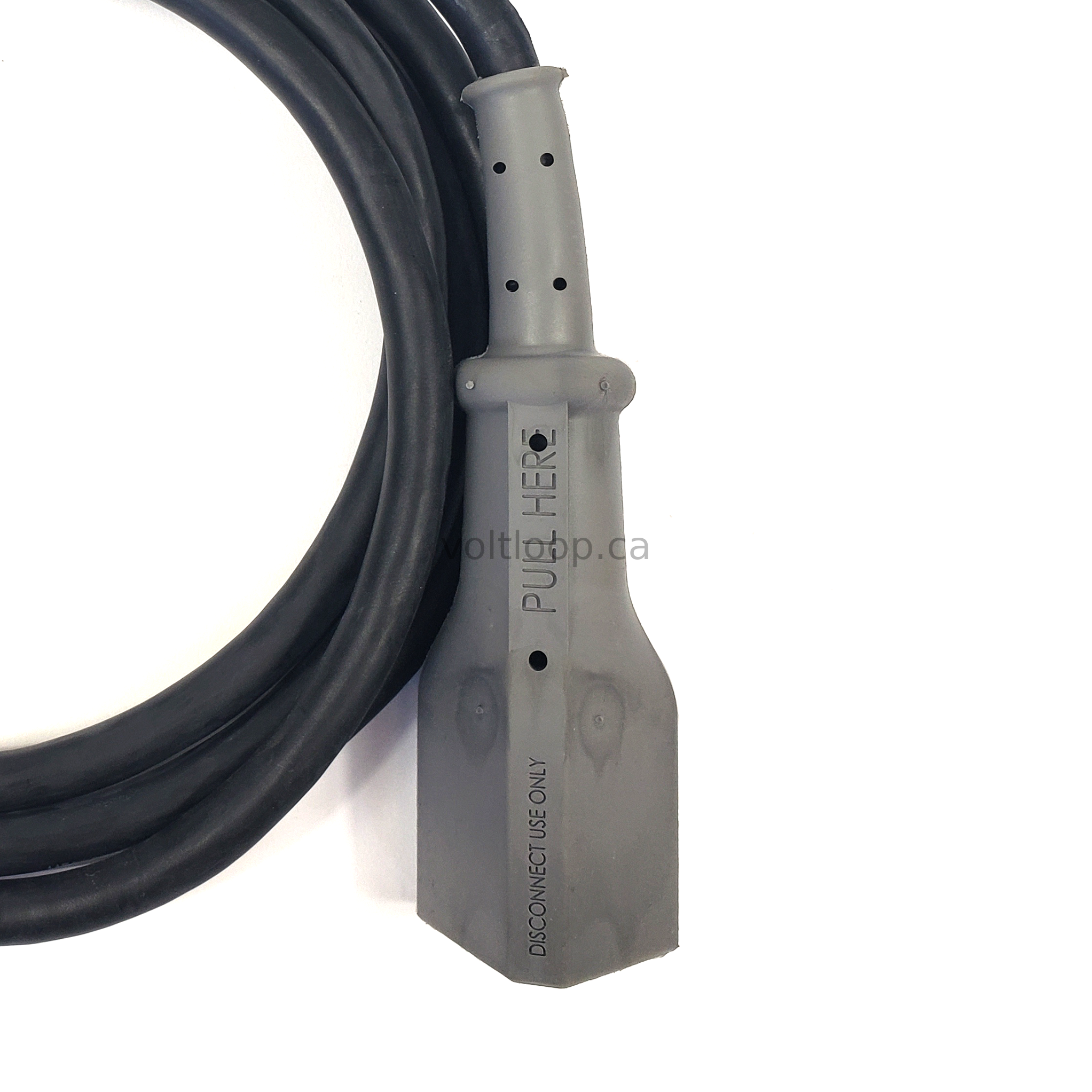 Lester Summit Series 2 650W Charger & 48V EZGO RXV Plug – Voltloop