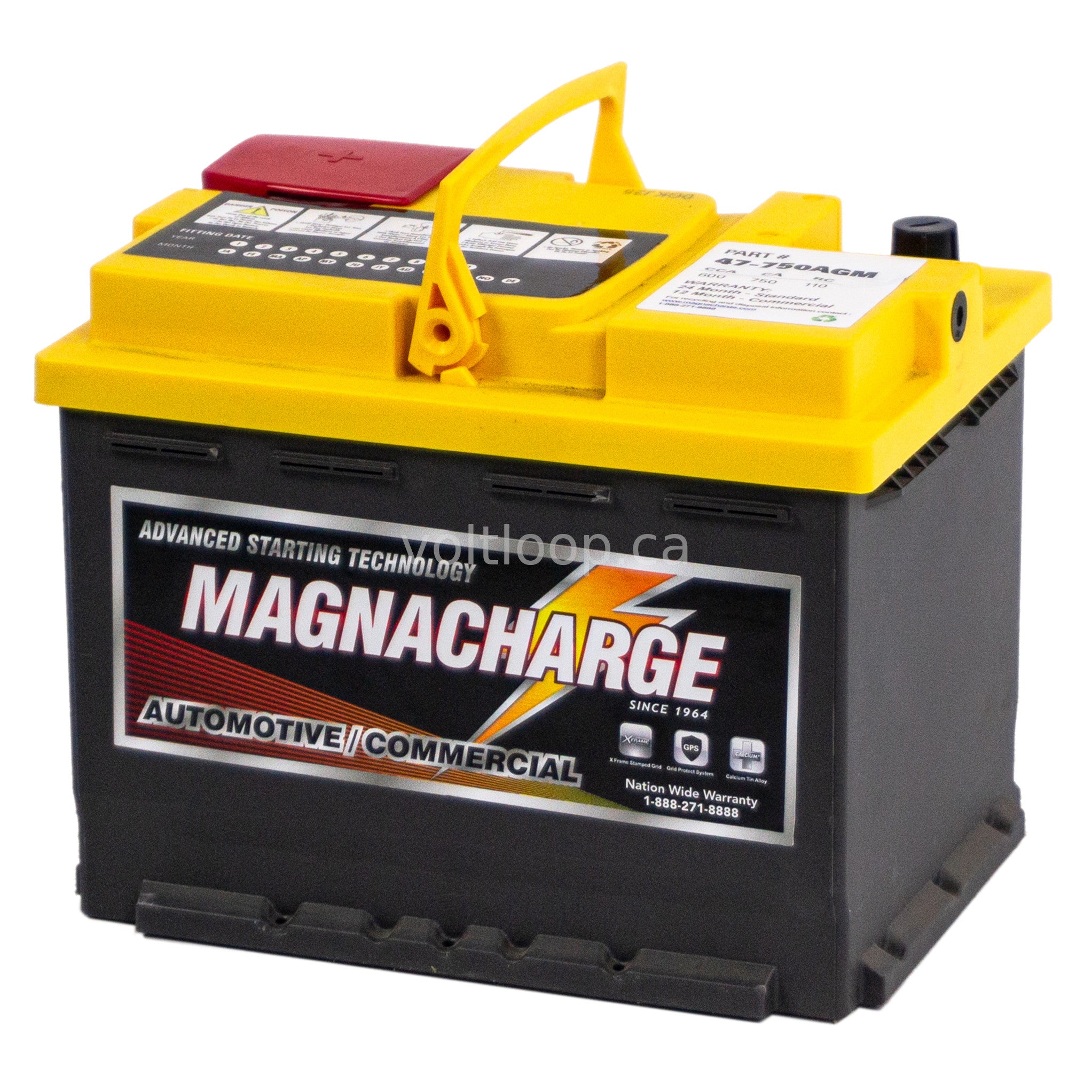 Magnacharge 47-750AGM Group 47 AGM Car Battery